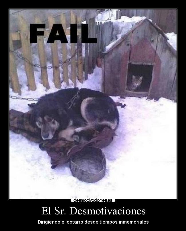 El Sr. Desmotivaciones - Dirigiendo el cotarro desde tiempos inmemoriales