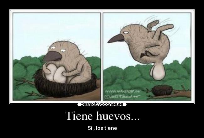 Tiene huevos... - 