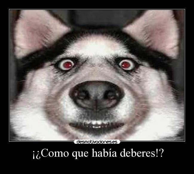 ¡¿Como que había deberes!? - 