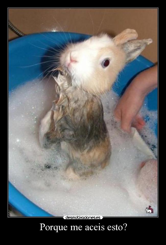 Porque me aceis esto? -