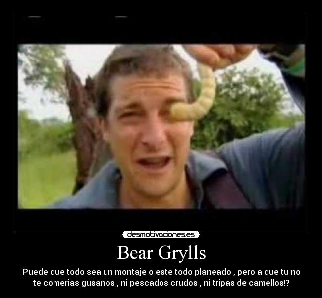 carteles asdasddsadas desmotivaciones