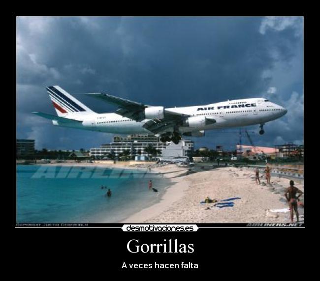 Gorrillas - 