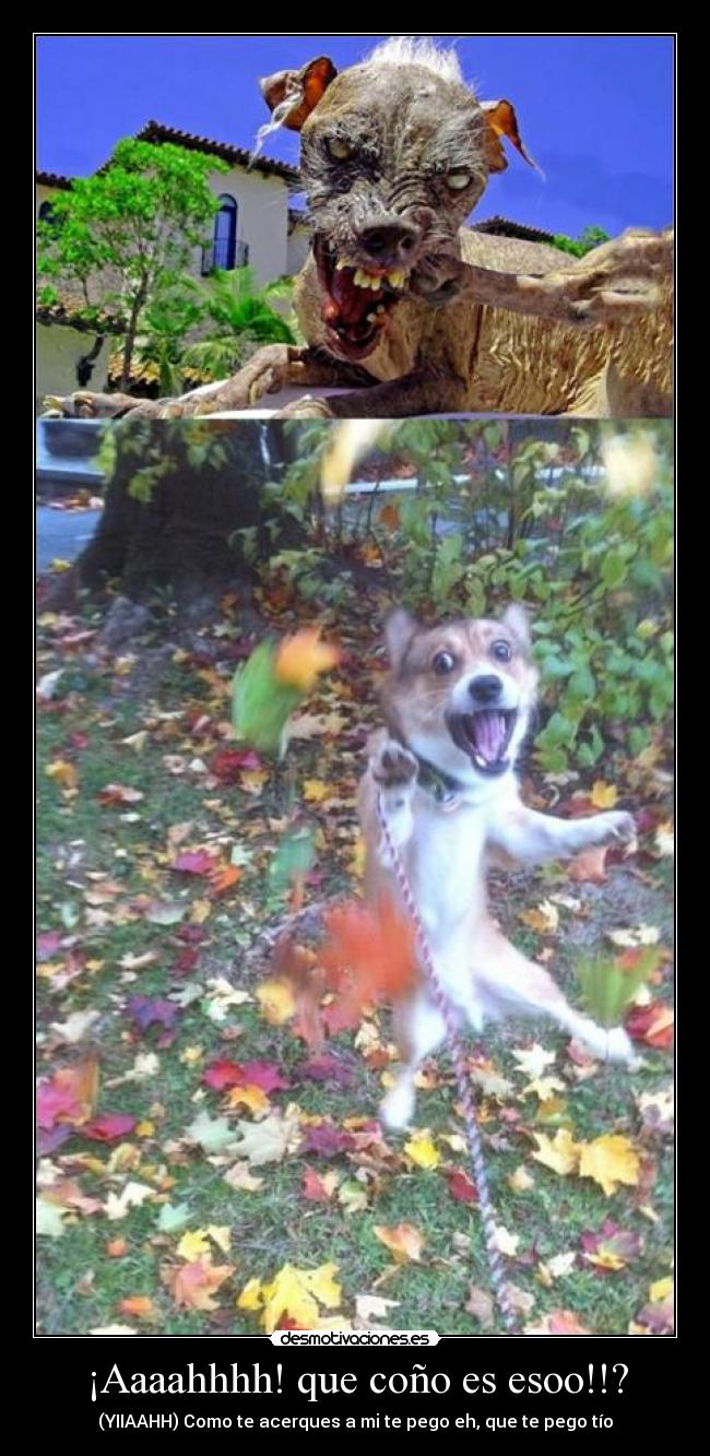 carteles aaaahhhh que cono esoo desmotivaciones