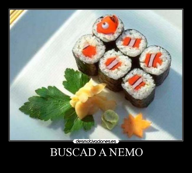 BUSCAD A NEMO -
