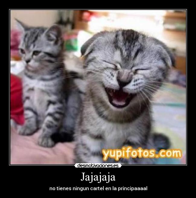 carteles  desmotivaciones