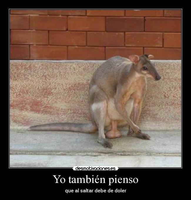 Yo también pienso -