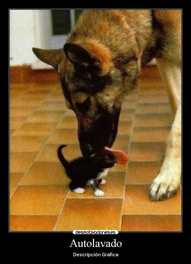 Autolavado - Descripción Grafica