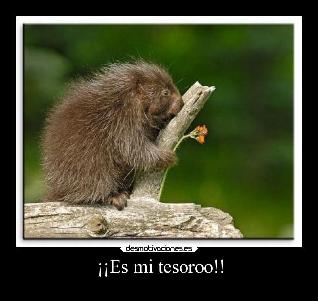 ¡¡Es mi tesoroo!! -