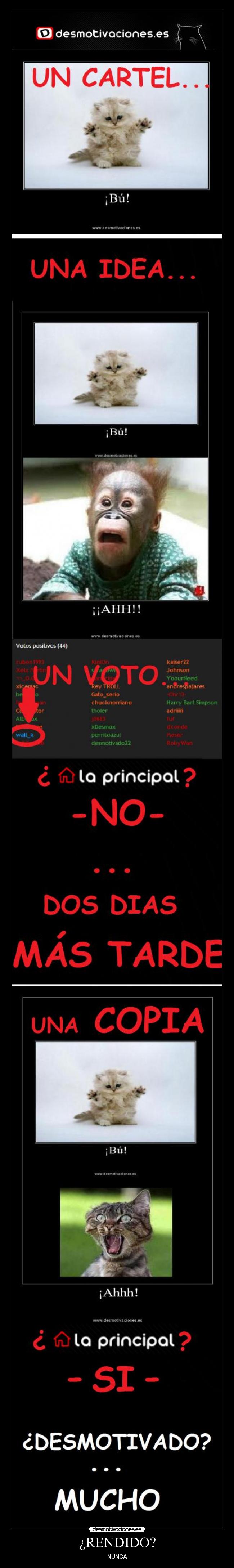 carteles walt_k walt gato desmotivaciones cartel cola principal plagio copia rendido nunca ahhh ahh bu desmotivaciones