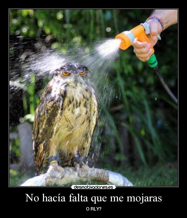 No hacía falta que me mojaras - O RLY?