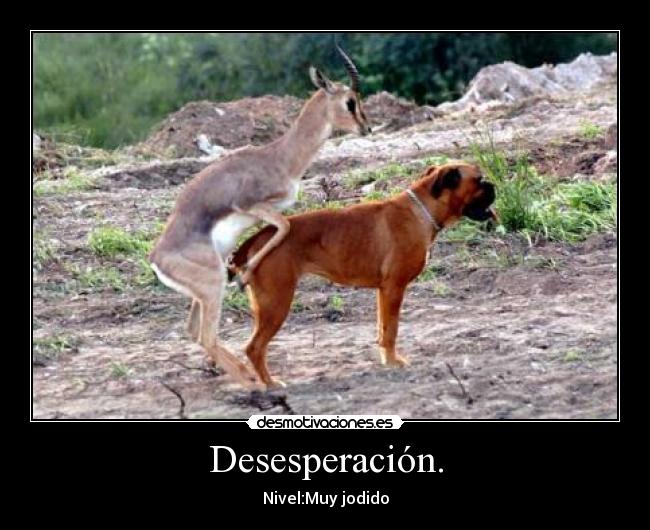Desesperación. - 