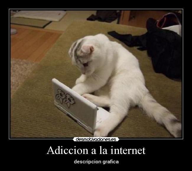 Adiccion a la internet - descripcion grafica