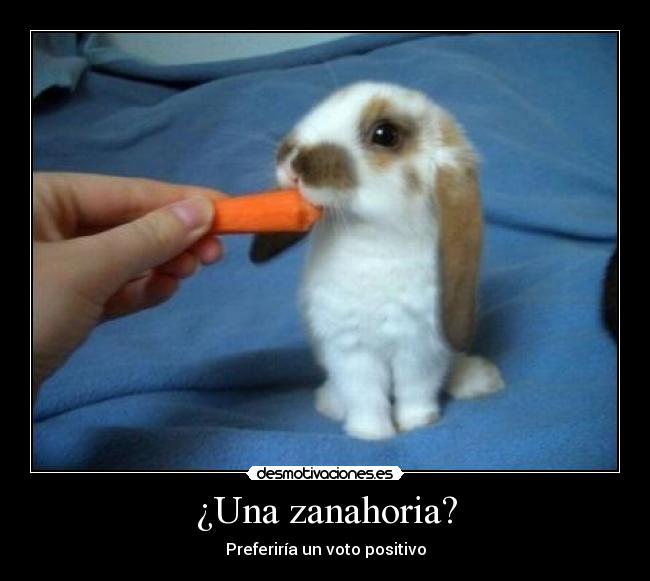 ¿Una zanahoria? -