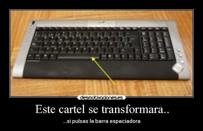 Este cartel se transformara.. -
