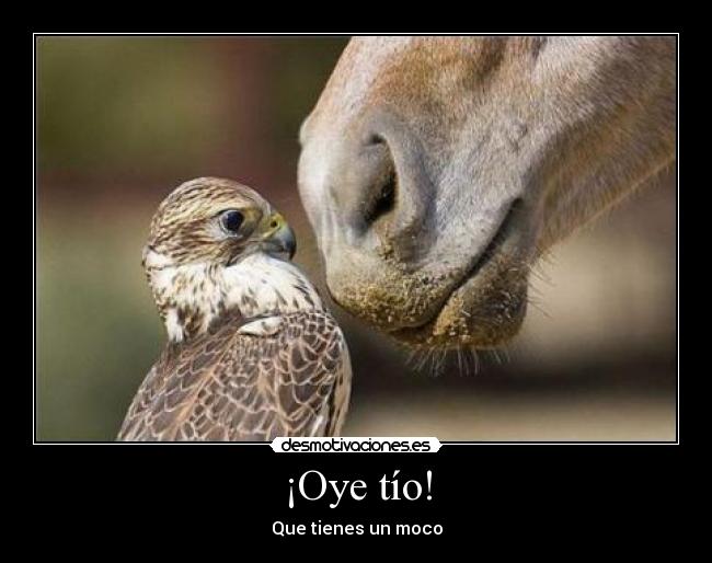 ¡Oye tío! - Que tienes un moco