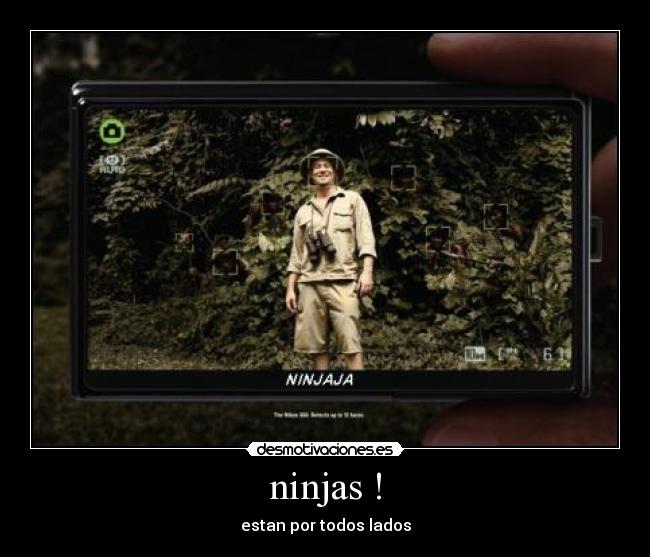 ninjas ! - 