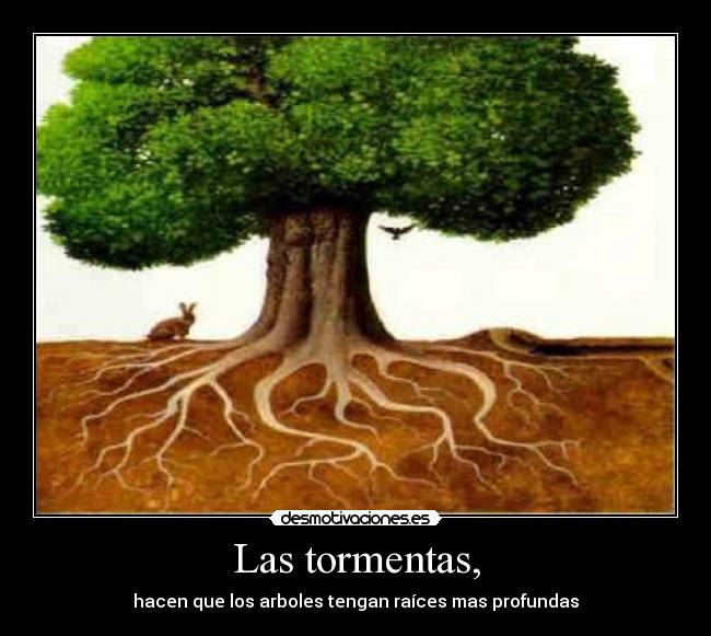 Las tormentas, - hacen que los arboles tengan raíces mas profundas