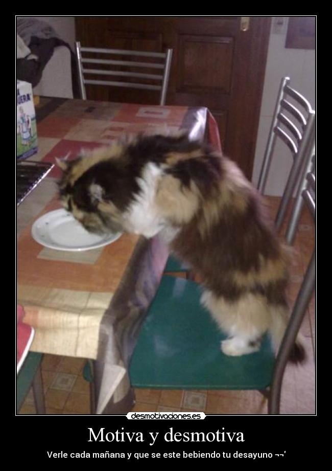 Motiva y desmotiva -