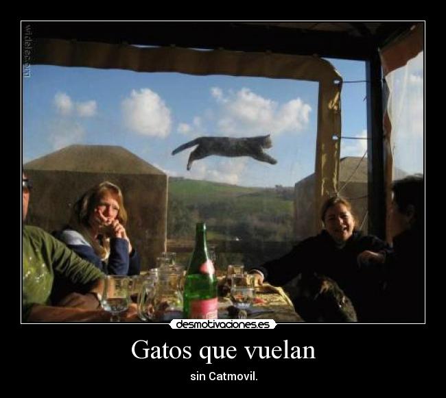 Gatos que vuelan - sin Catmovil.