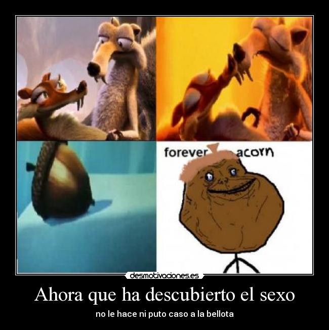 Ahora que ha descubierto el sexo -