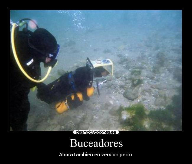 Buceadores - Ahora también en versión perro