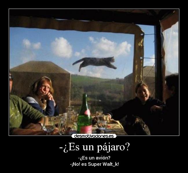 carteles walt_k avion pajaro gatosvolando supergato desmotivaciones