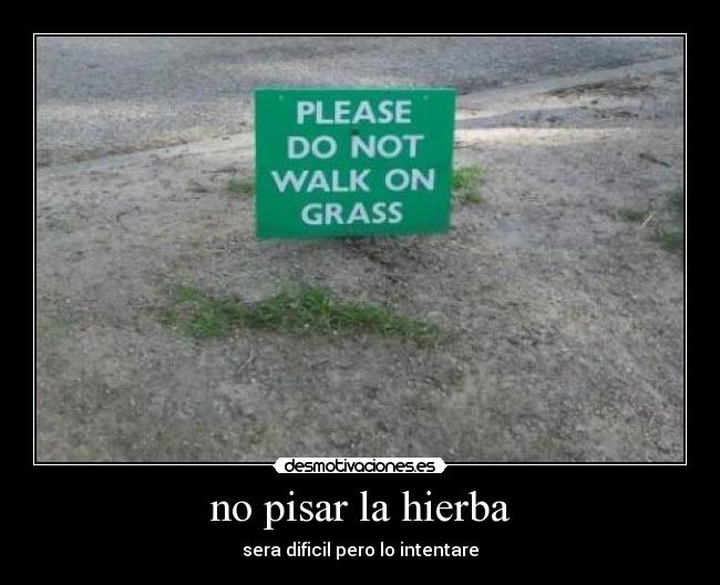 no pisar la hierba - 