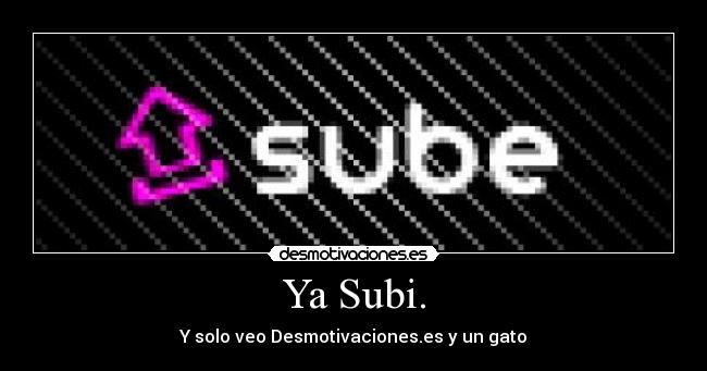 Ya Subi. - Y solo veo Desmotivaciones.es y un gato