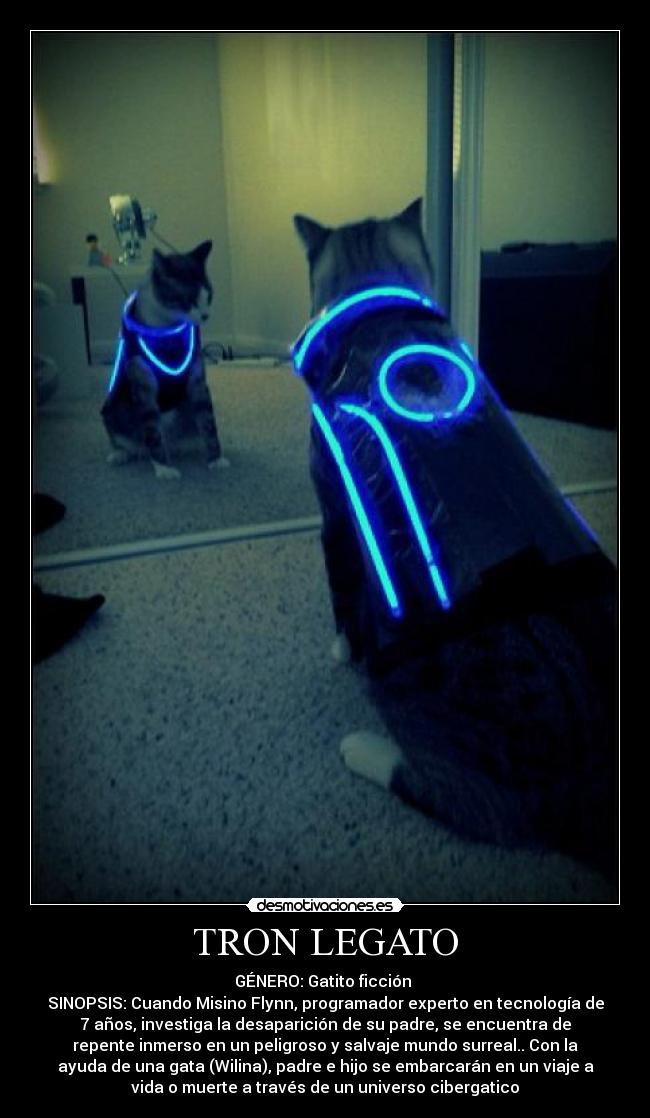 TRON LEGATO - GÉNERO: Gatito ficción
SINOPSIS: Cuando Misino Flynn, programador experto en tecnología de
7 años, investiga la desaparición de su padre, se encuentra de
repente inmerso en un peligroso y salvaje mundo surreal.. Con la
ayuda de una gata (Wilina), padre e hijo se embarcarán en un viaje a
vida o muerte a través de un universo cibergatico