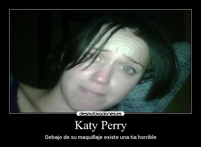 carteles katy perry wapa guapa fea estupida imbecil maquillaje famosa cantante horrible puta bitch desgracia desmotivaciones