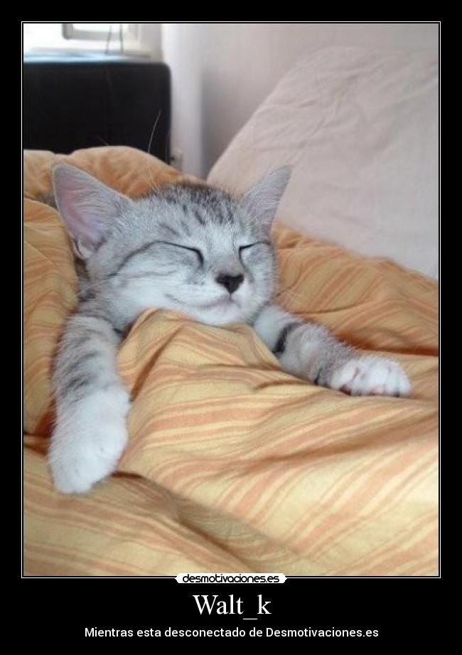 Walt_k - Mientras esta desconectado de Desmotivaciones.es