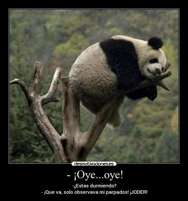 - ¡Oye...oye! - -¿Estas durmiendo?
- ¡Que va, solo observava mi parpados! ¡JODER!