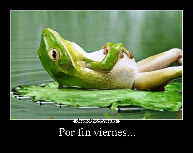Por fin viernes... -