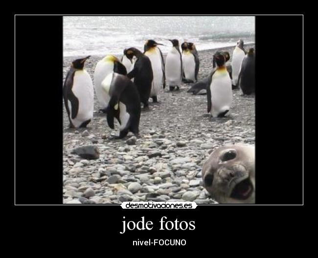 jode fotos -