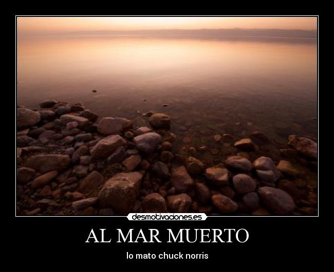 AL MAR MUERTO - lo mato chuck norris