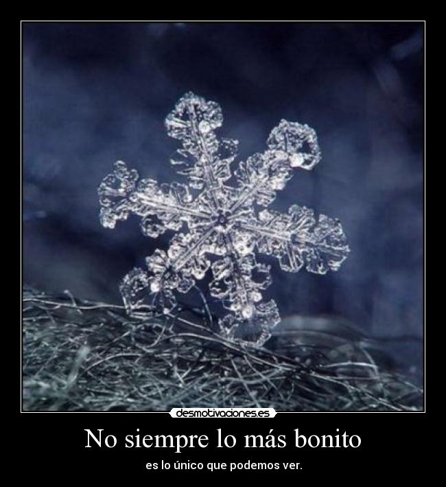 No siempre lo más bonito -