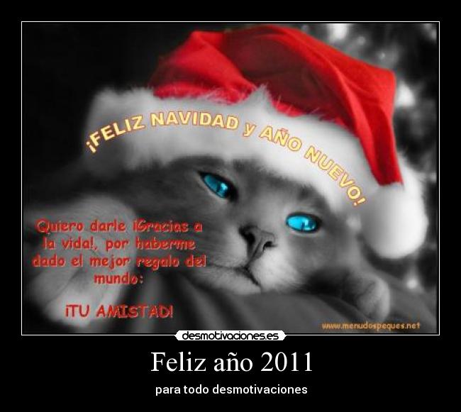 Feliz año 2011 -