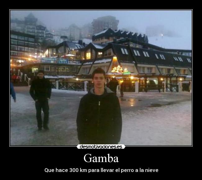 Gamba - Que hace 300 km para llevar el perro a la nieve