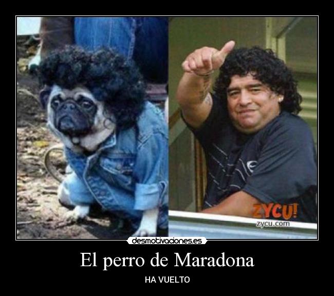 El perro de Maradona - 