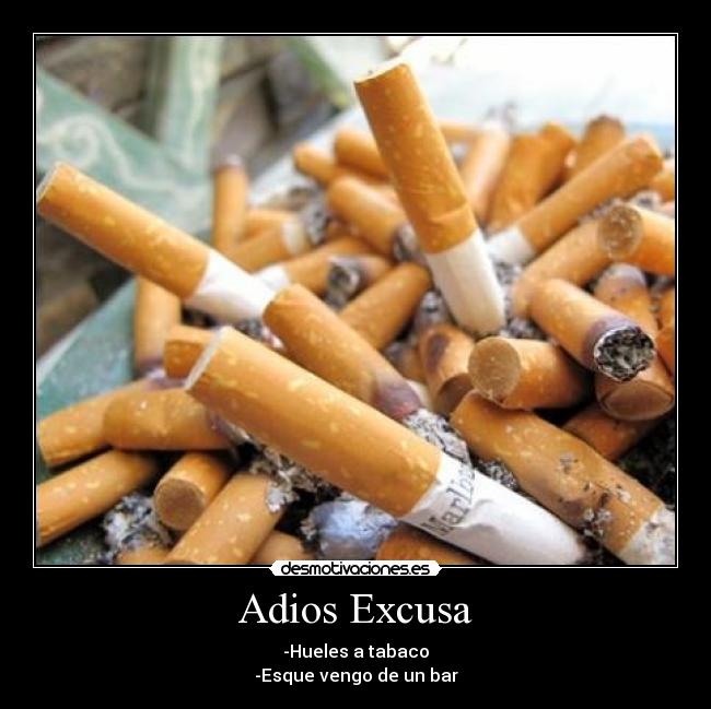 carteles adios excusa desmotivaciones