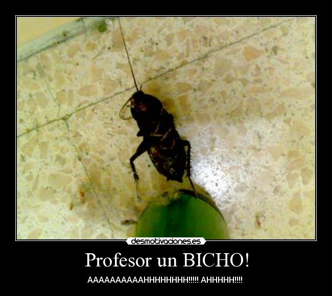 Profesor un BICHO! - 