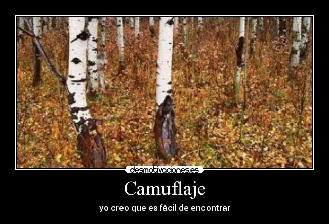 Camuflaje -