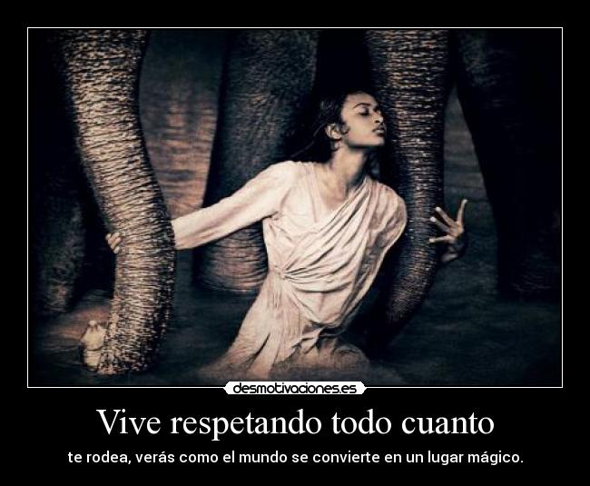 Vive respetando todo cuanto - te rodea, verás como el mundo se convierte en un lugar mágico.