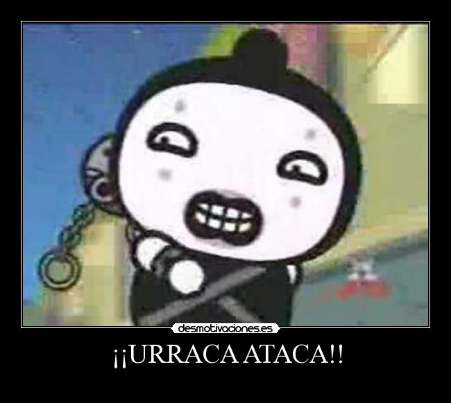 ¡¡URRACA ATACA!! -