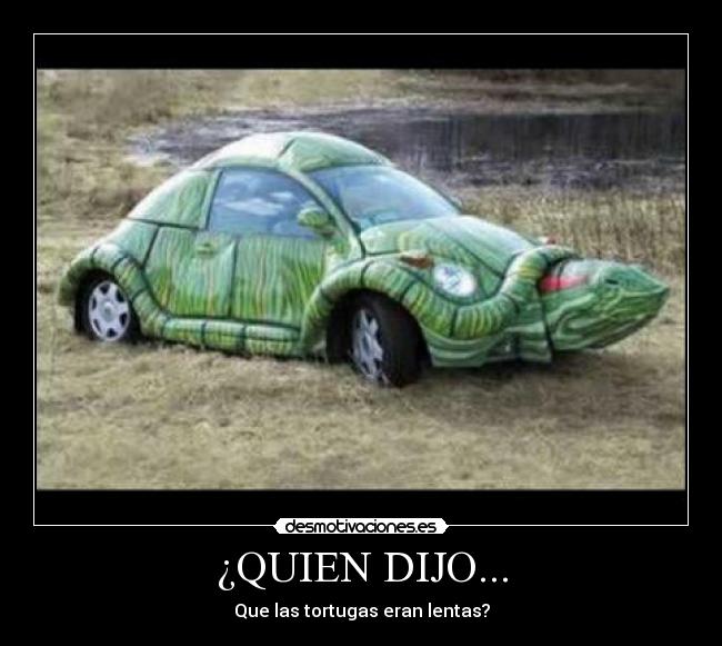 ¿QUIEN DIJO... - Que las tortugas eran lentas?