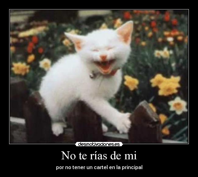 My Image 23