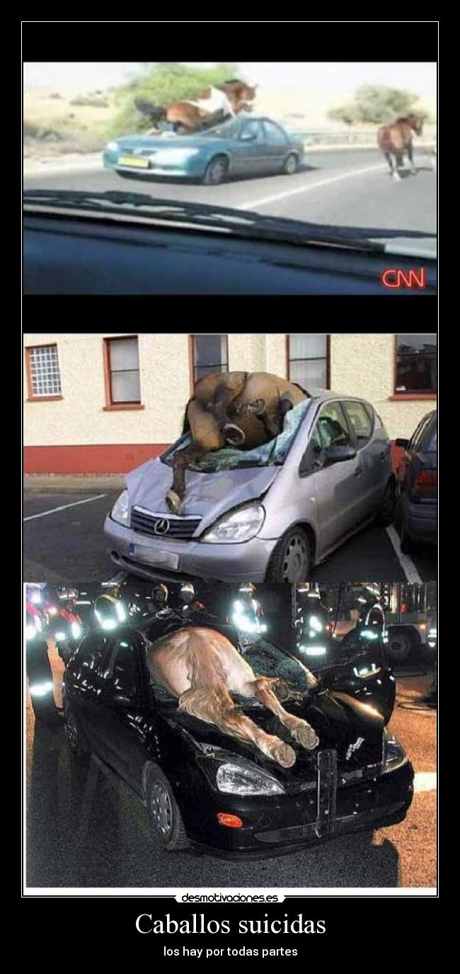 Caballos suicidas - 