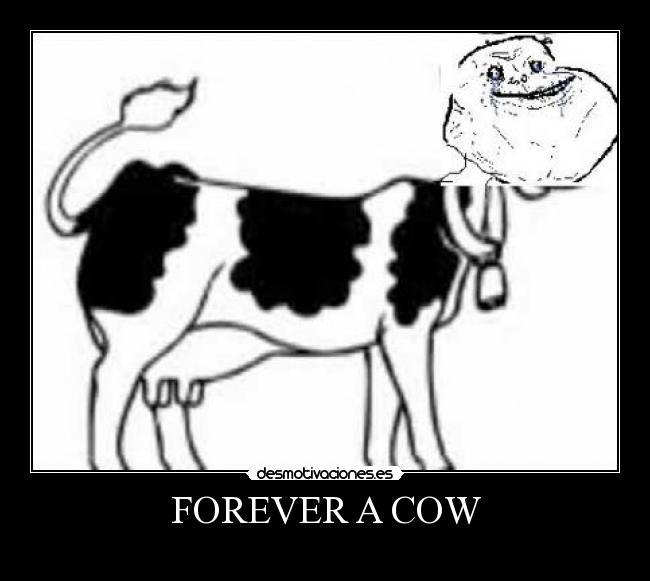 FOREVER A COW -