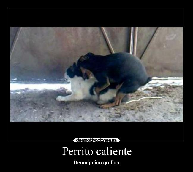 Perrito caliente - Descripción gráfica
