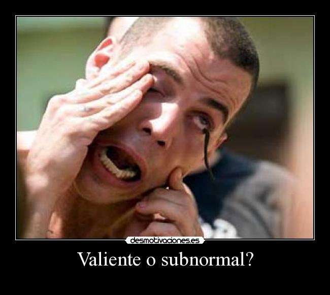 Valiente o subnormal? -